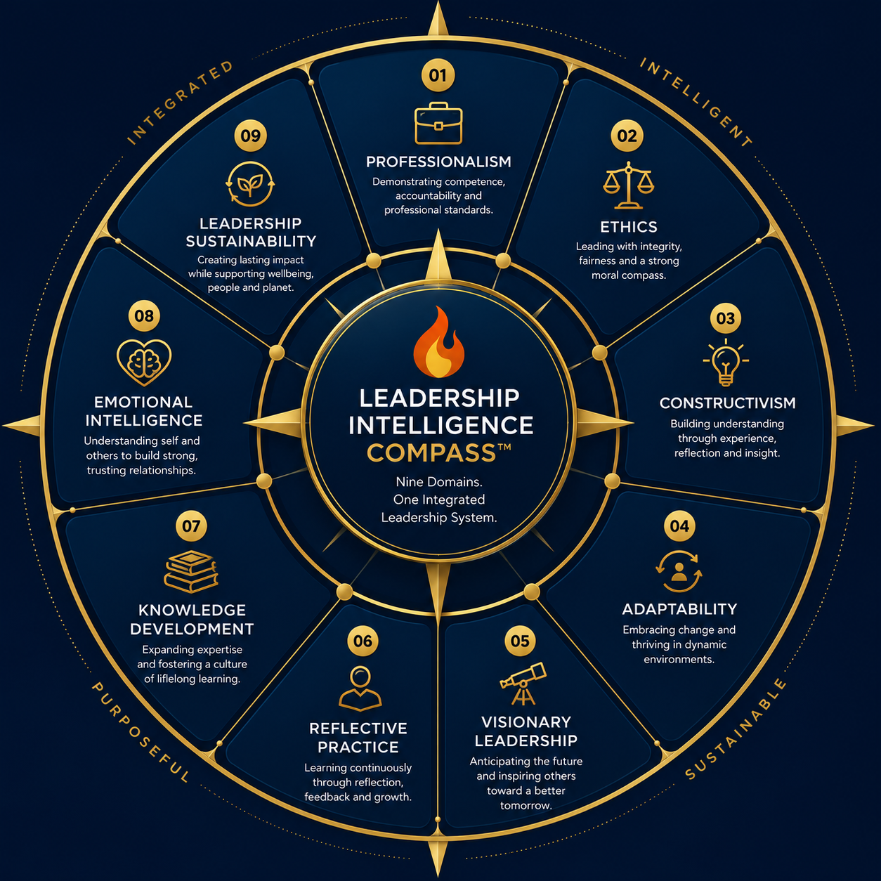 Overview of the Leadership Intelligence Compass showing nine interconnected domains