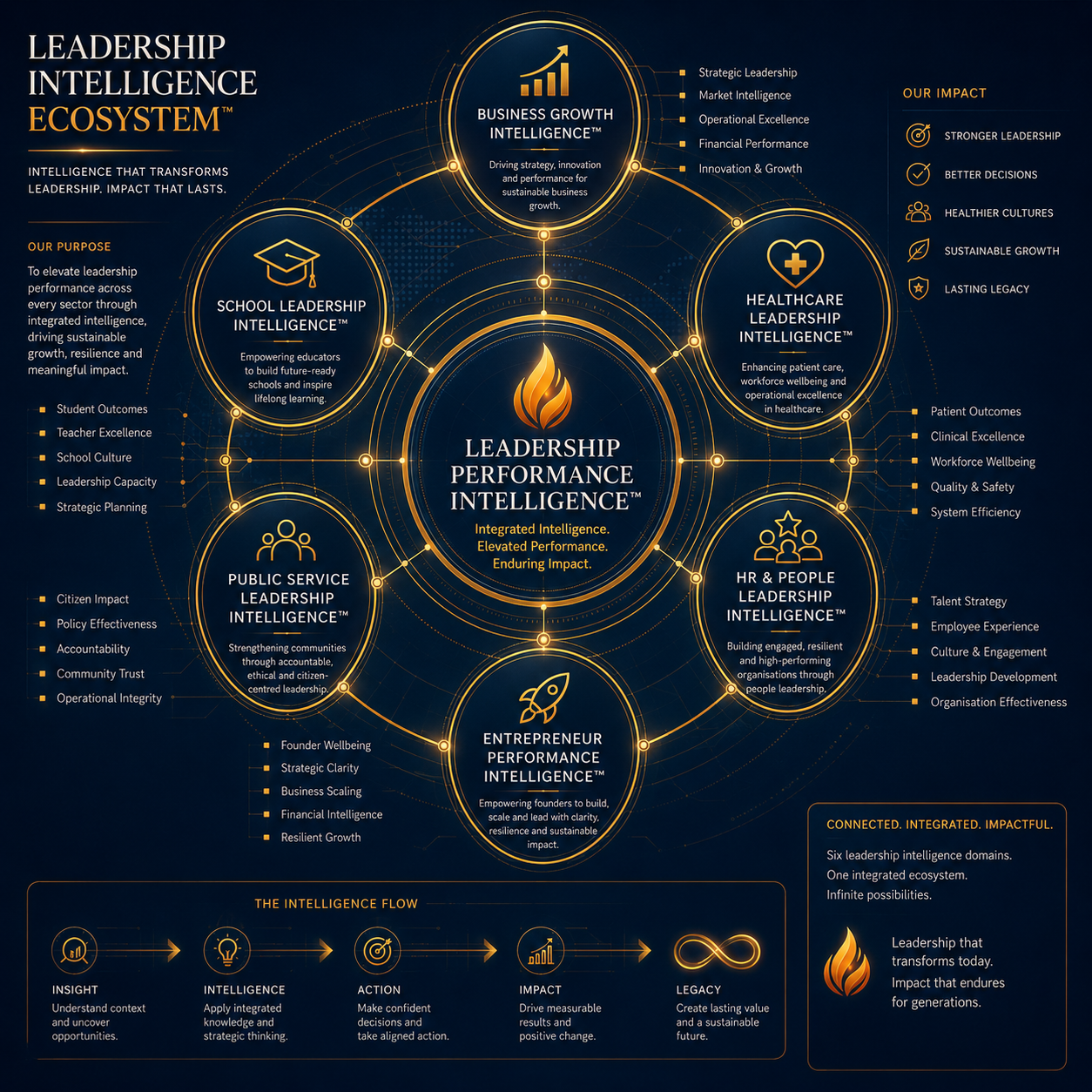 Leadership Performance Intelligence connected to Business, School, Healthcare, Public Service, HR and Entrepreneur sector applications