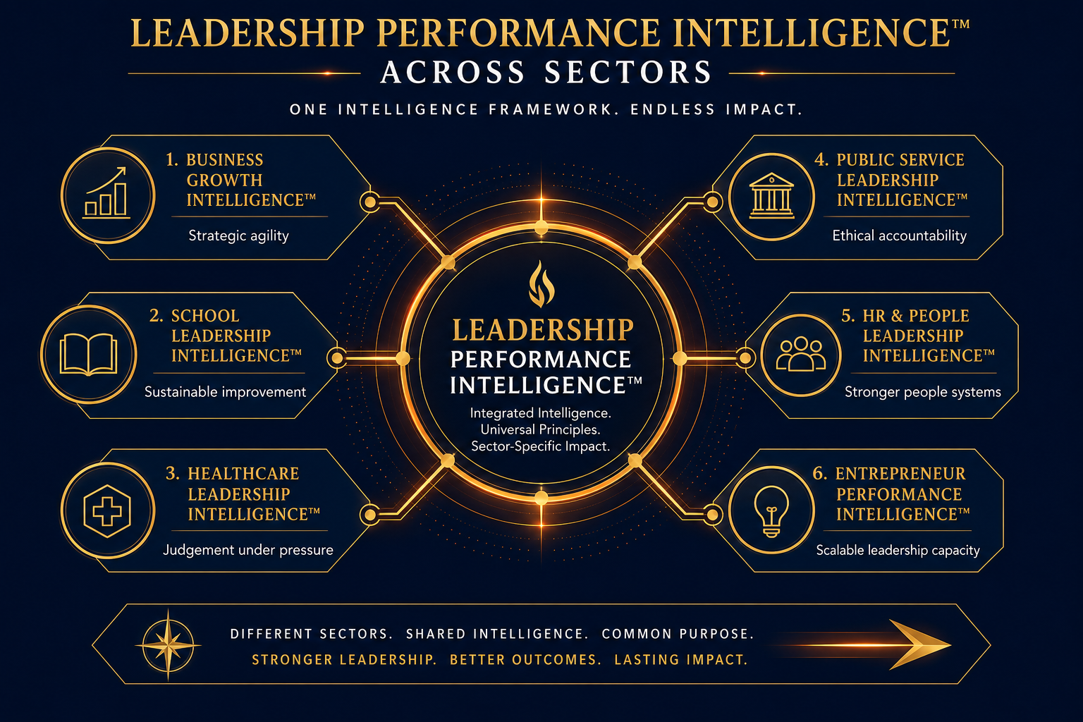 Infographic showing cross-sector applications of Leadership Performance Intelligence