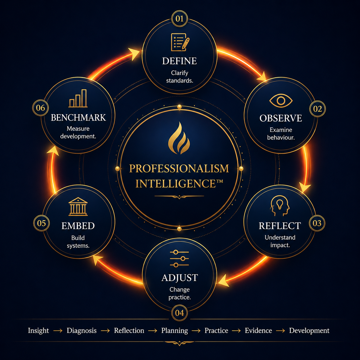 Professionalism Intelligence development cycle