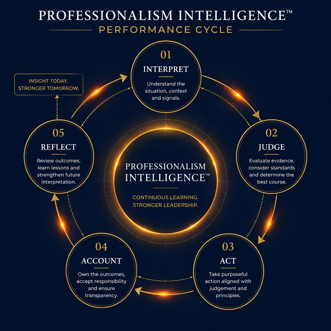 Professionalism Intelligence Performance Cycle: Interpret, Judge, Act, Account, Reflect