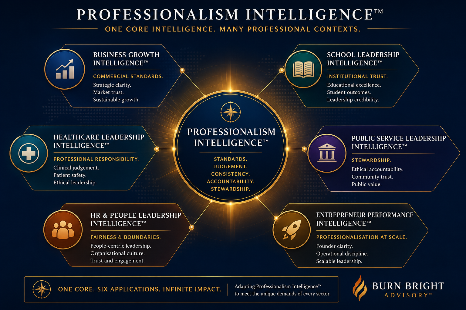 Sector application of Professionalism Intelligence across business, education, healthcare, public service, HR and entrepreneurship