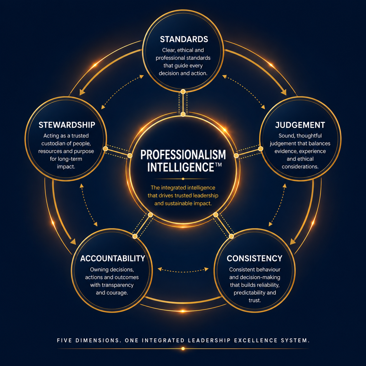 The five dimensions of Professionalism Intelligence
