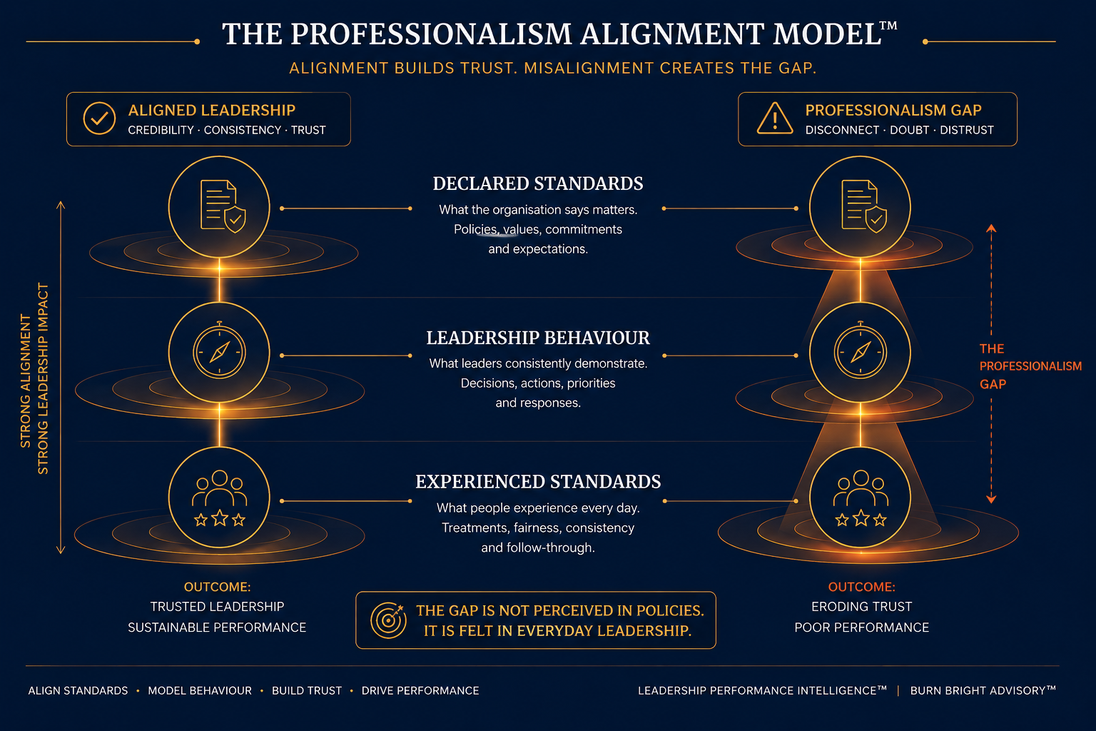 Visual representation of the Five Dimensions of Professionalism Intelligence framework