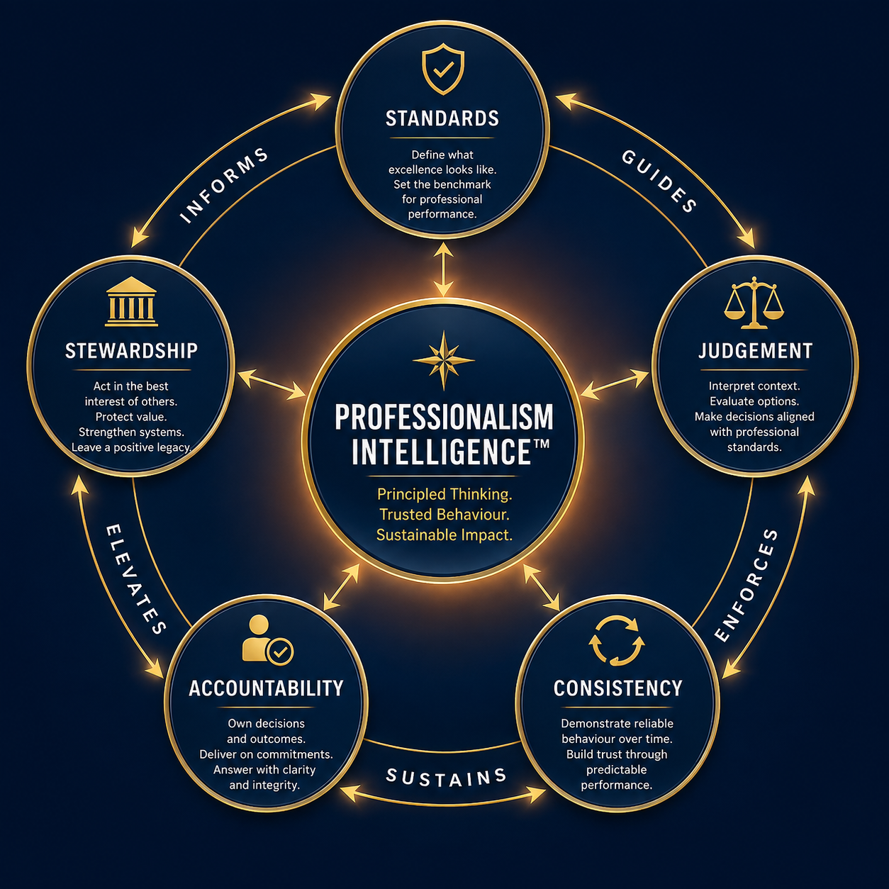 Diagram of the Professionalism Intelligence framework showing standards, judgement, consistency, accountability and stewardship