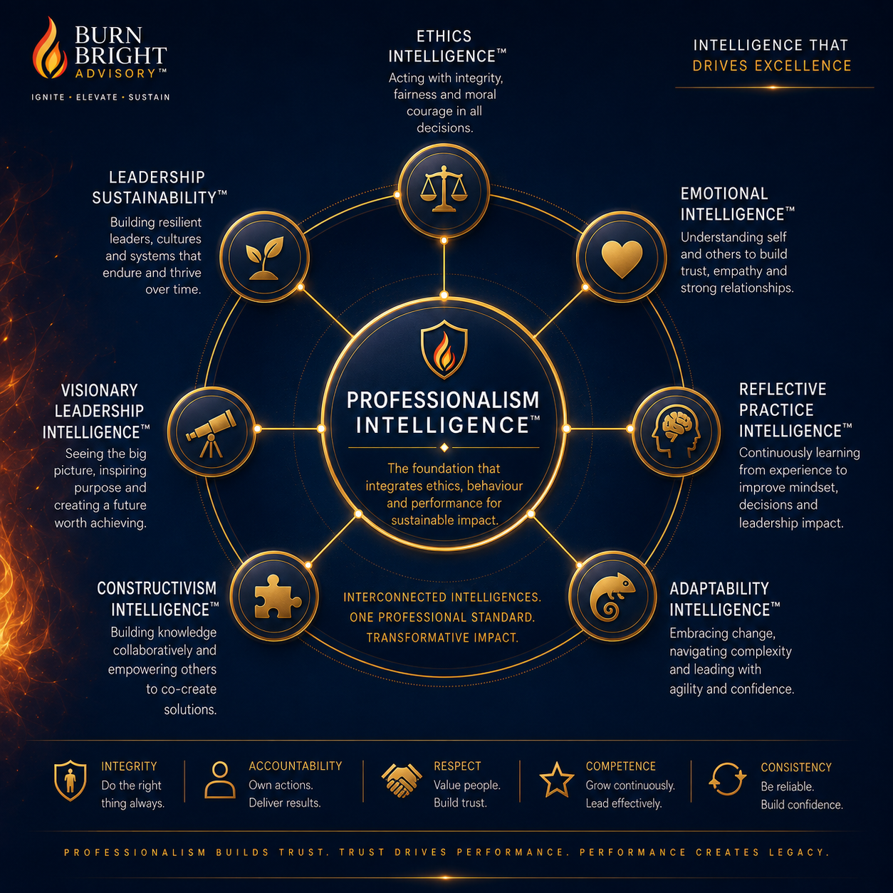 Professionalism Intelligence capability model showing five pillars