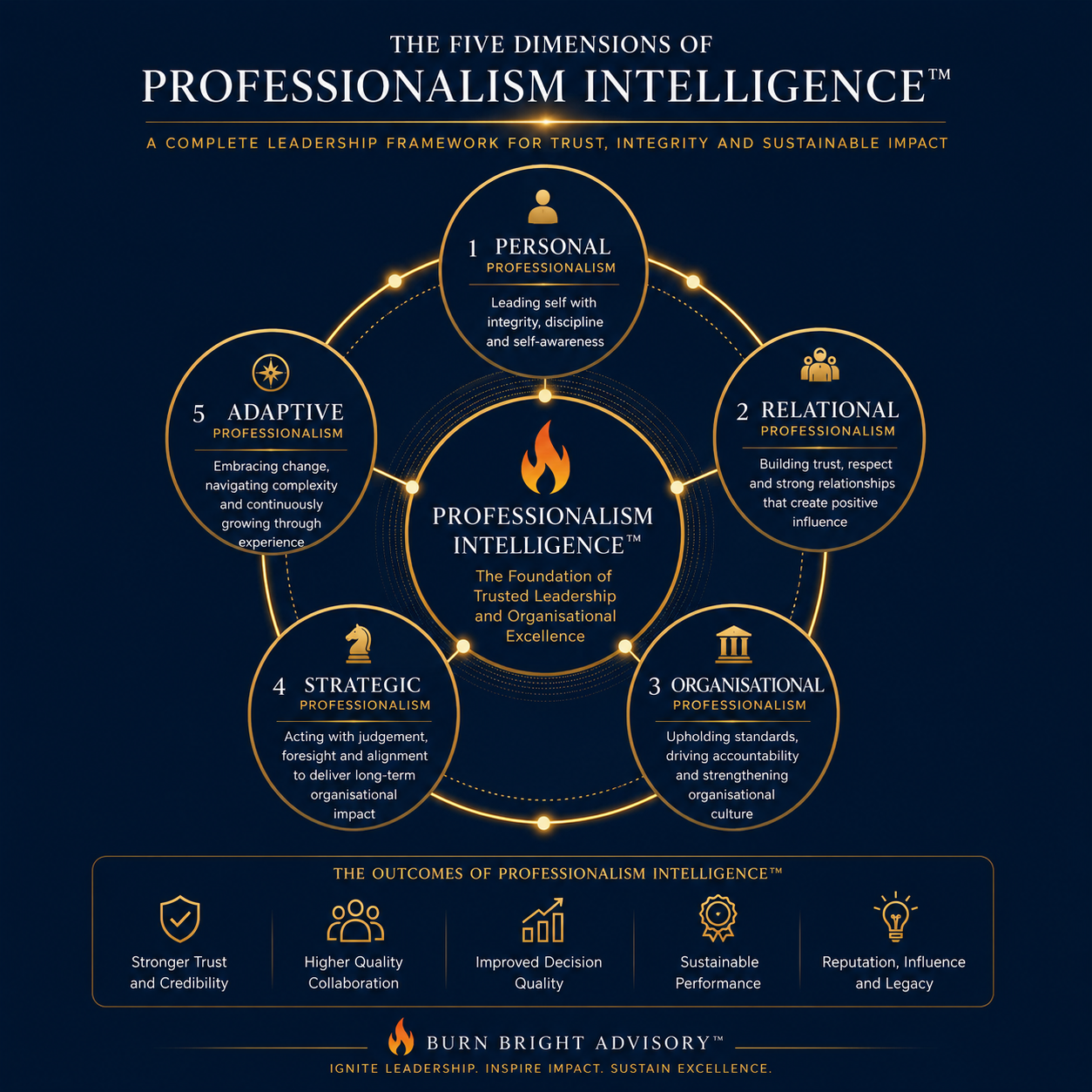 Diagram illustrating the leadership framework behind Professionalism Intelligence