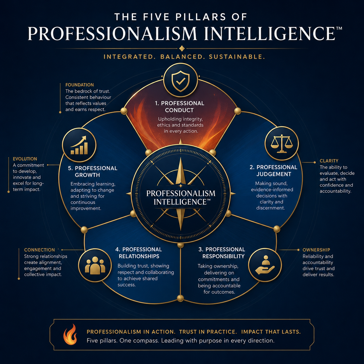 Five dimensions of Professionalism Intelligence framework represented visually