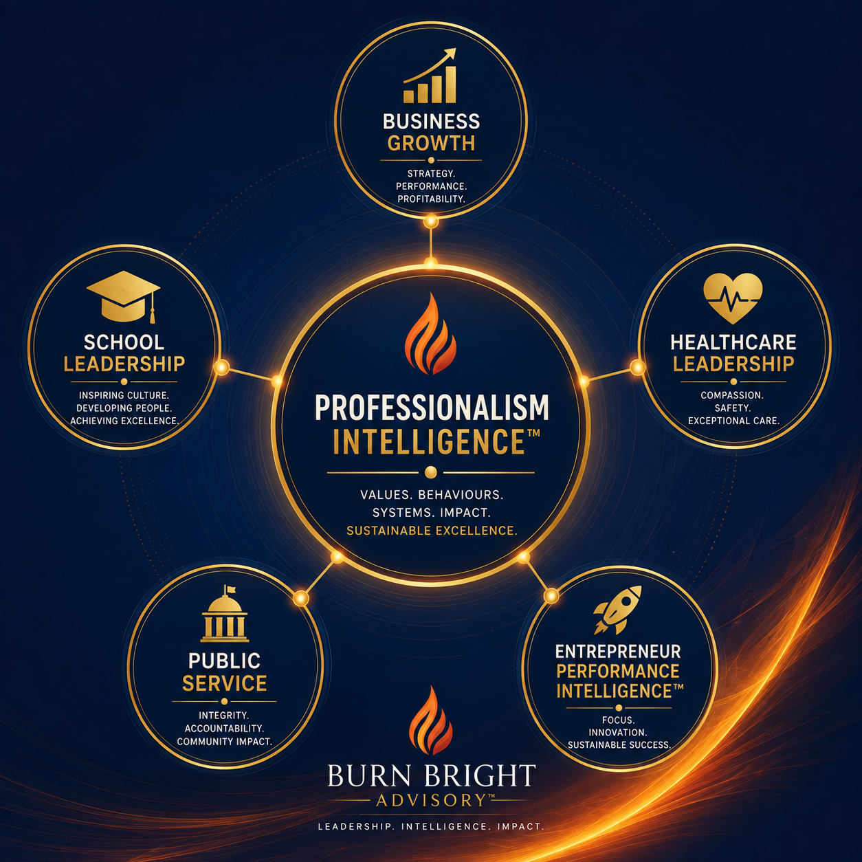 Professionalism Intelligence applied across business, education, healthcare and public service sectors