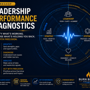 Leadership Performance Diagnostics