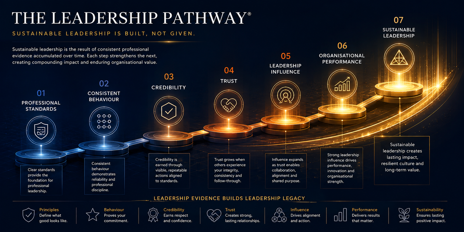 Professionalism to Trust to Performance framework diagram